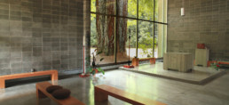 Redwoods Abbey