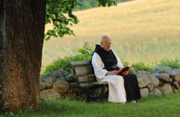 Learn More About the Trappists