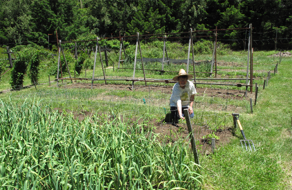 monastic internship, working in garden