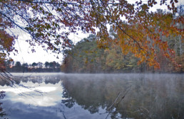 walking on water, image of tree-lined lake