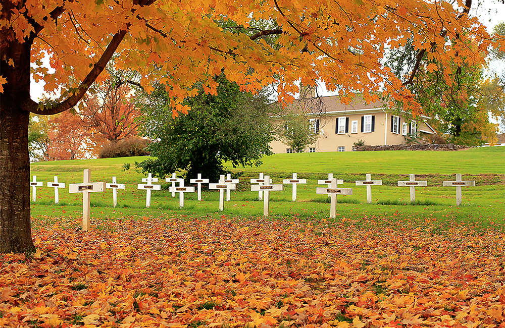 cemetary view of white crosses under autumn tree