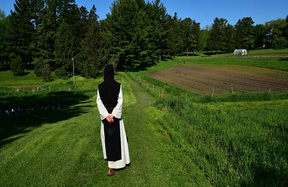 monk standing in green field come away retreat