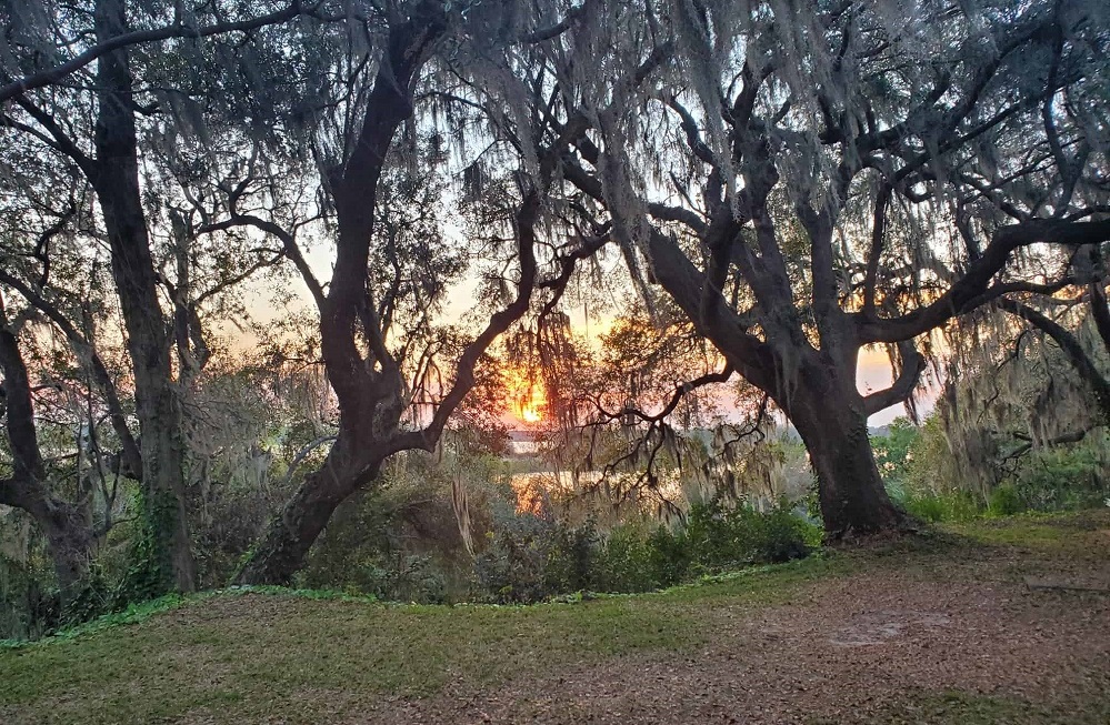 Sunset over a river in the midst of trees