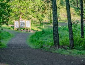 signs marking trail at end of forest road