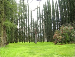 large wood cross in the midst of green lawn and surrounded by cypress trees