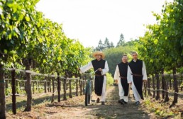 three monks walking in a vineyard at New Clairvaux Abbey